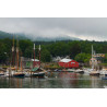 Foggy Harbor. Blank note cards with envelope. Pack of 5 cards.