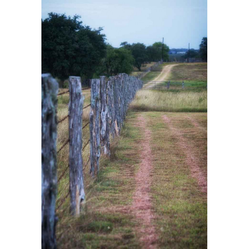 Texas Fencepost. Blank note cards with envelope. Pack of 5 cards