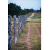 Texas Fencepost. Blank note cards with envelope. Pack of 5 cards
