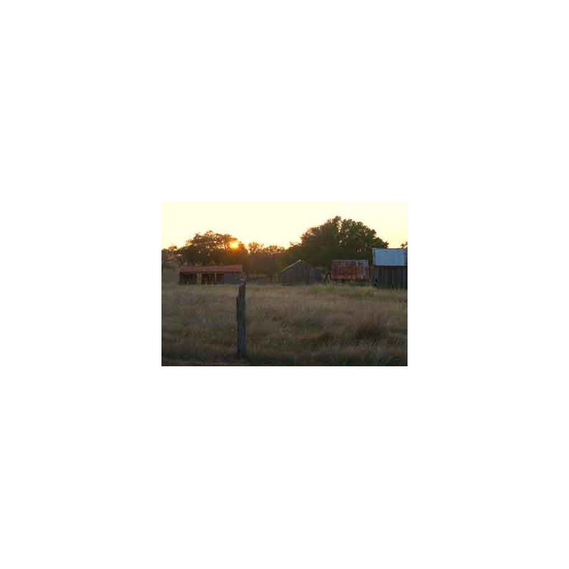 Texas Sunset. Blank note cards with envelope. Pack of 5 cards