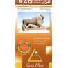 Iraq 1:1750000  with index of Archeological sites